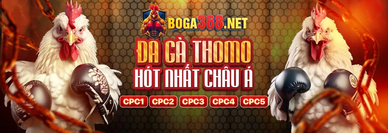 Sân đấu đá gà trực tuyến sôi động trên 68gb iOS